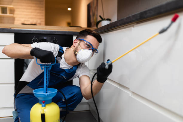 Best Affordable Pest Control Services  in Creve Coeur, IL