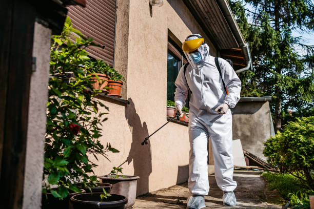 Best Affordable Pest Control Services  in Creve Coeur, IL