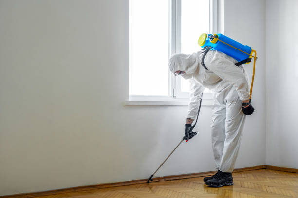 Best Commercial Pest Control Services  in Creve Coeur, IL