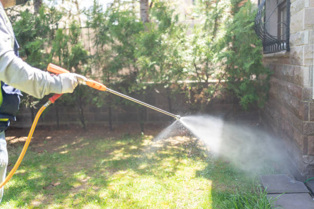 Best Termite Control Services  in Creve Coeur, IL