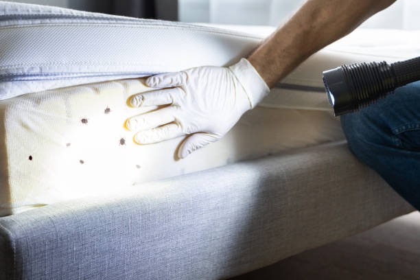 Best Wildlife Control Services  in Creve Coeur, IL