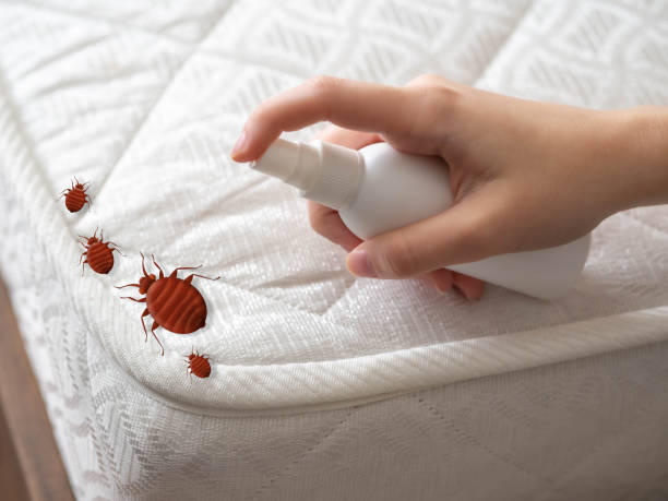 Best Pest Prevention Services  in Creve Coeur, IL