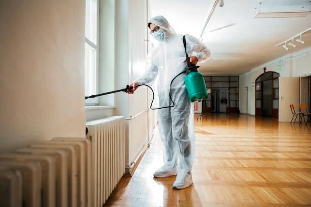 Best Emergency Pest Control  in Creve Coeur, IL
