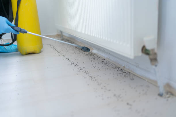 Best Residential Pest Control  in Creve Coeur, IL